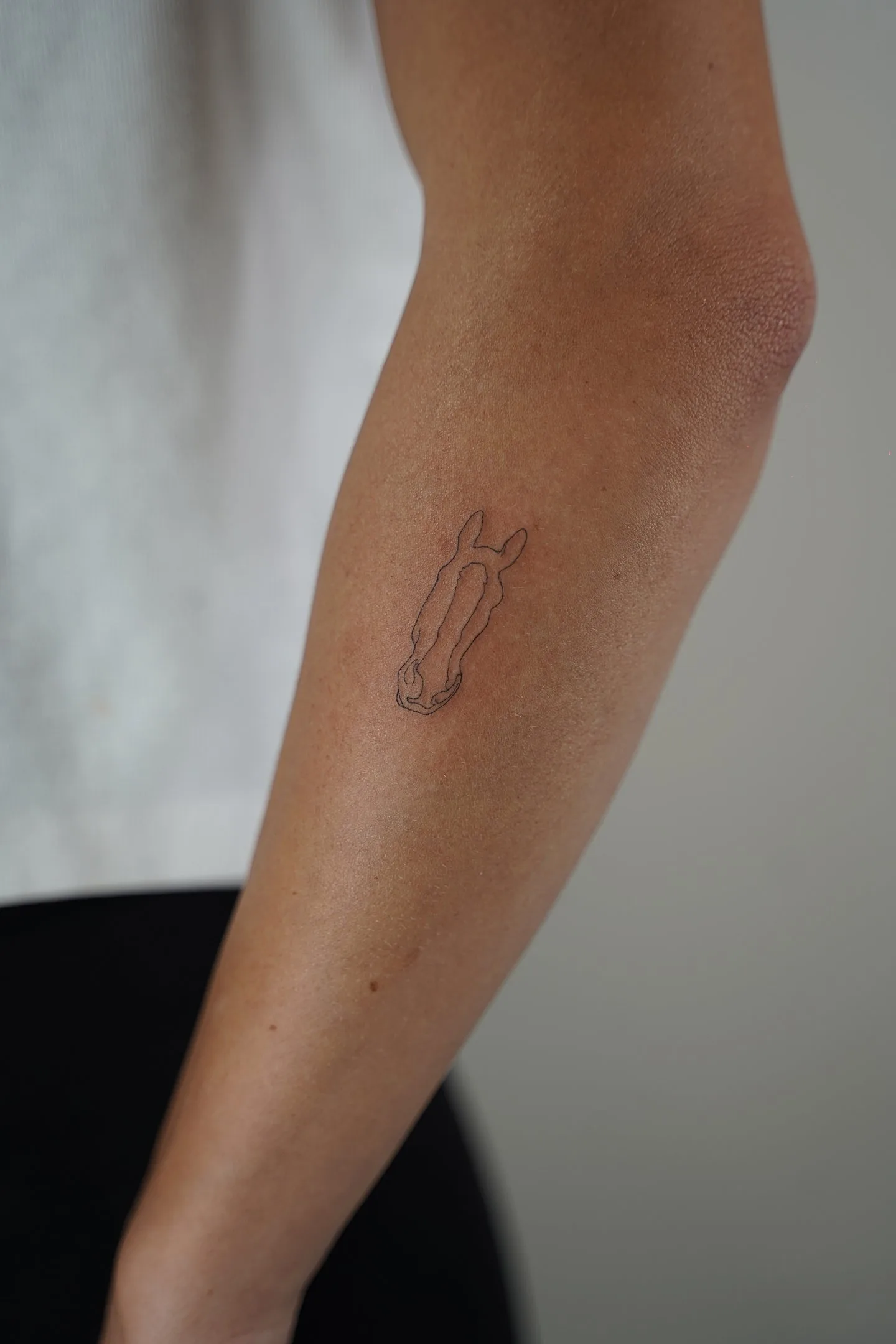 58) Cabeza de caballo en estilo one line