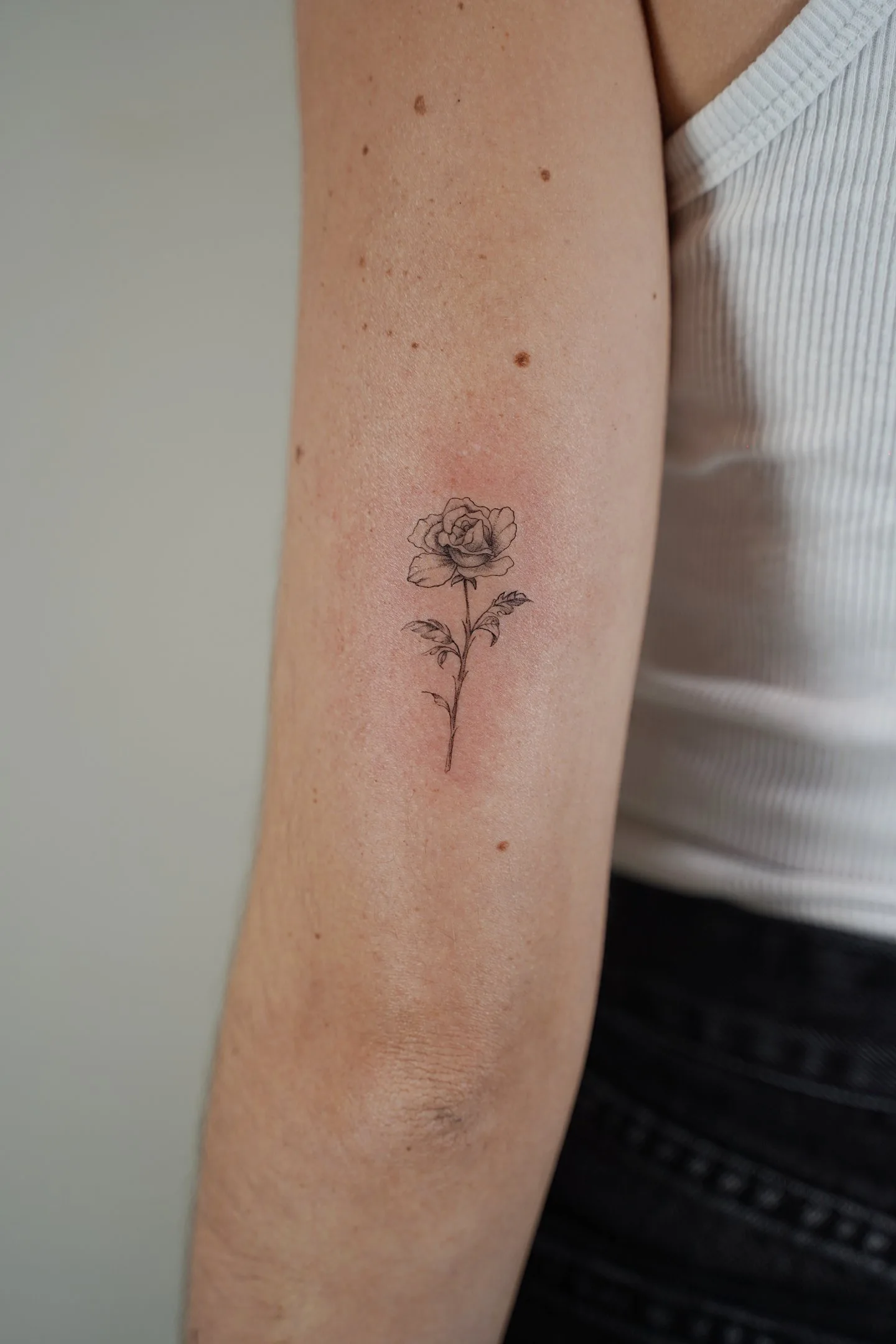61) Rosa con sombreado suave encima del codo