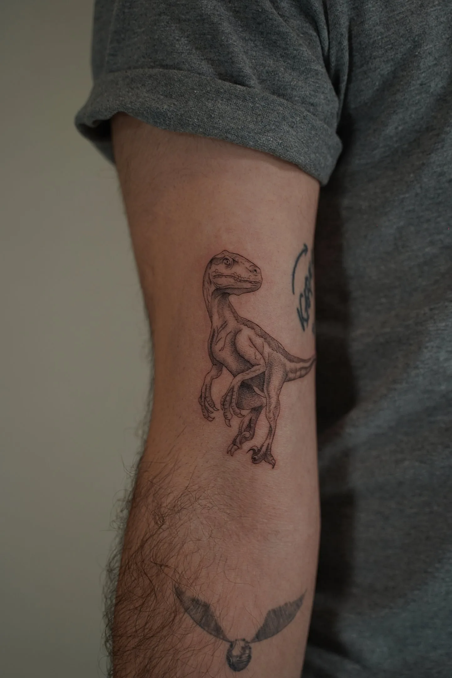 5) Dinosaurio en línea fina con detalle y sombra