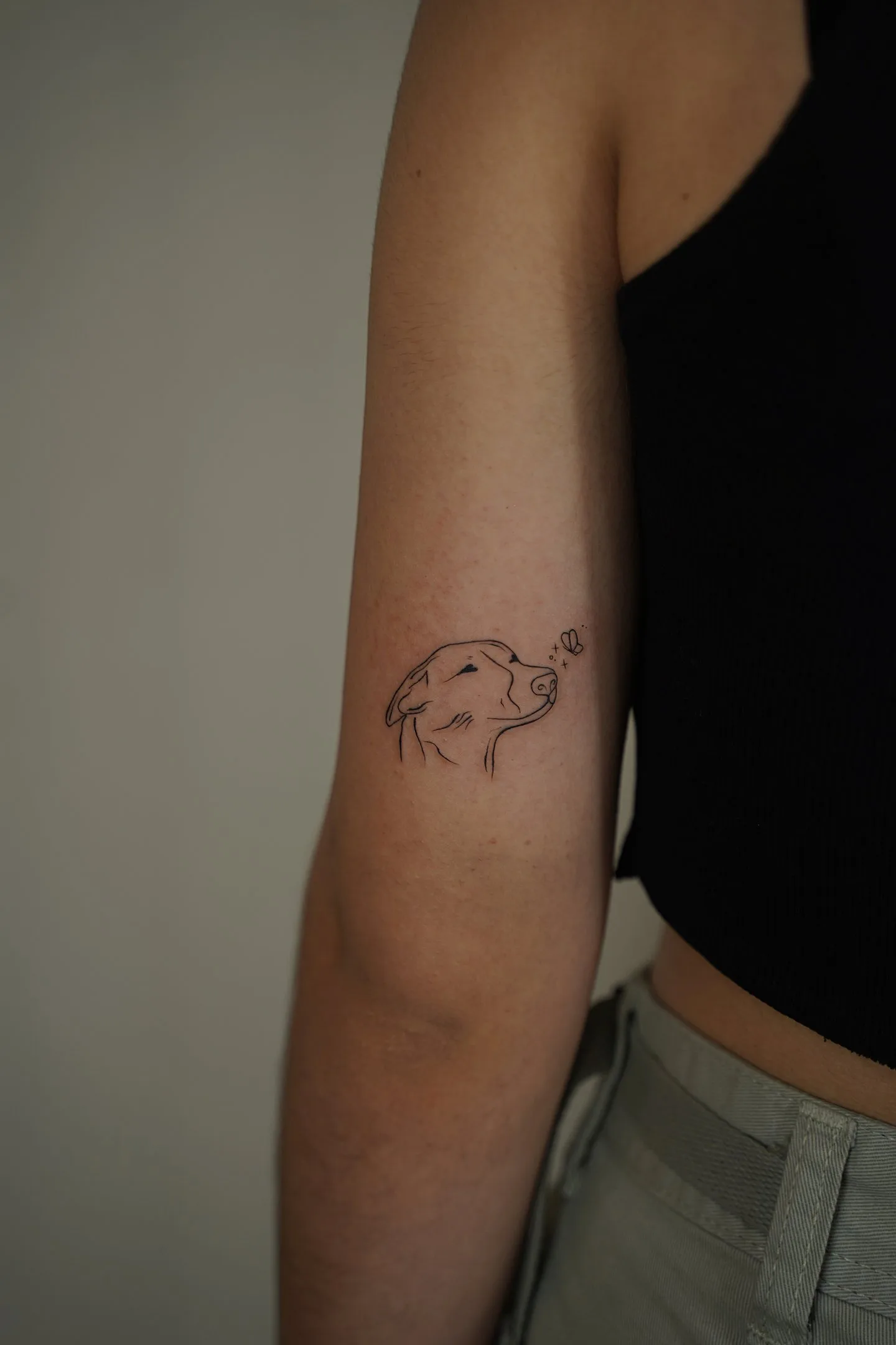 7) Perro en estilo lineal con mariposa