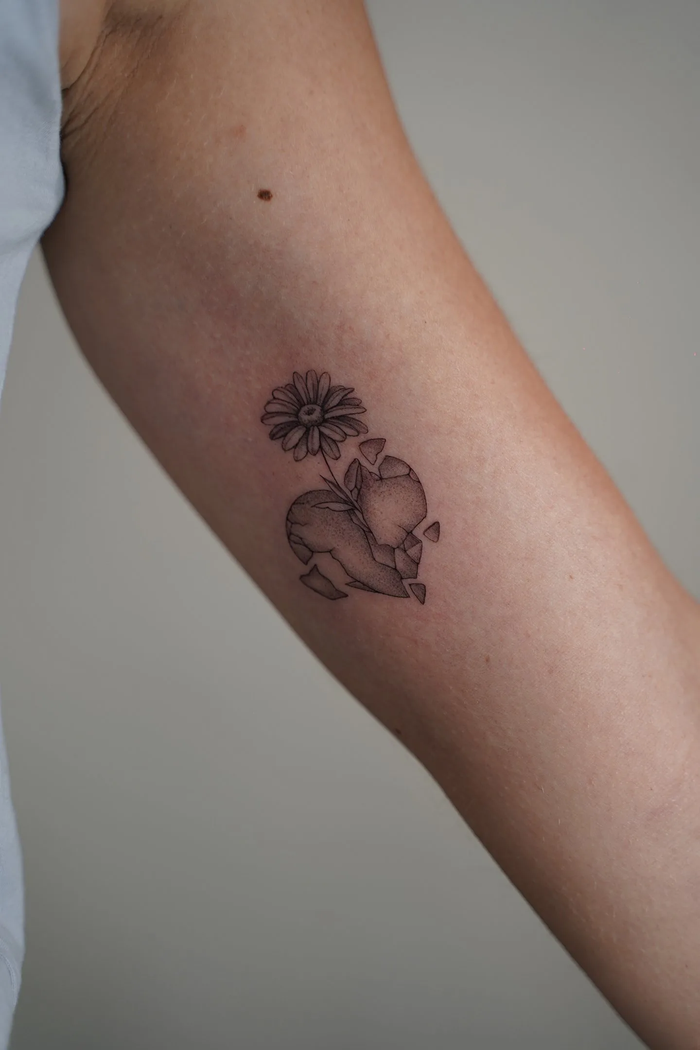 54) Corazón roto del que nace una margarita en estilo microrealista