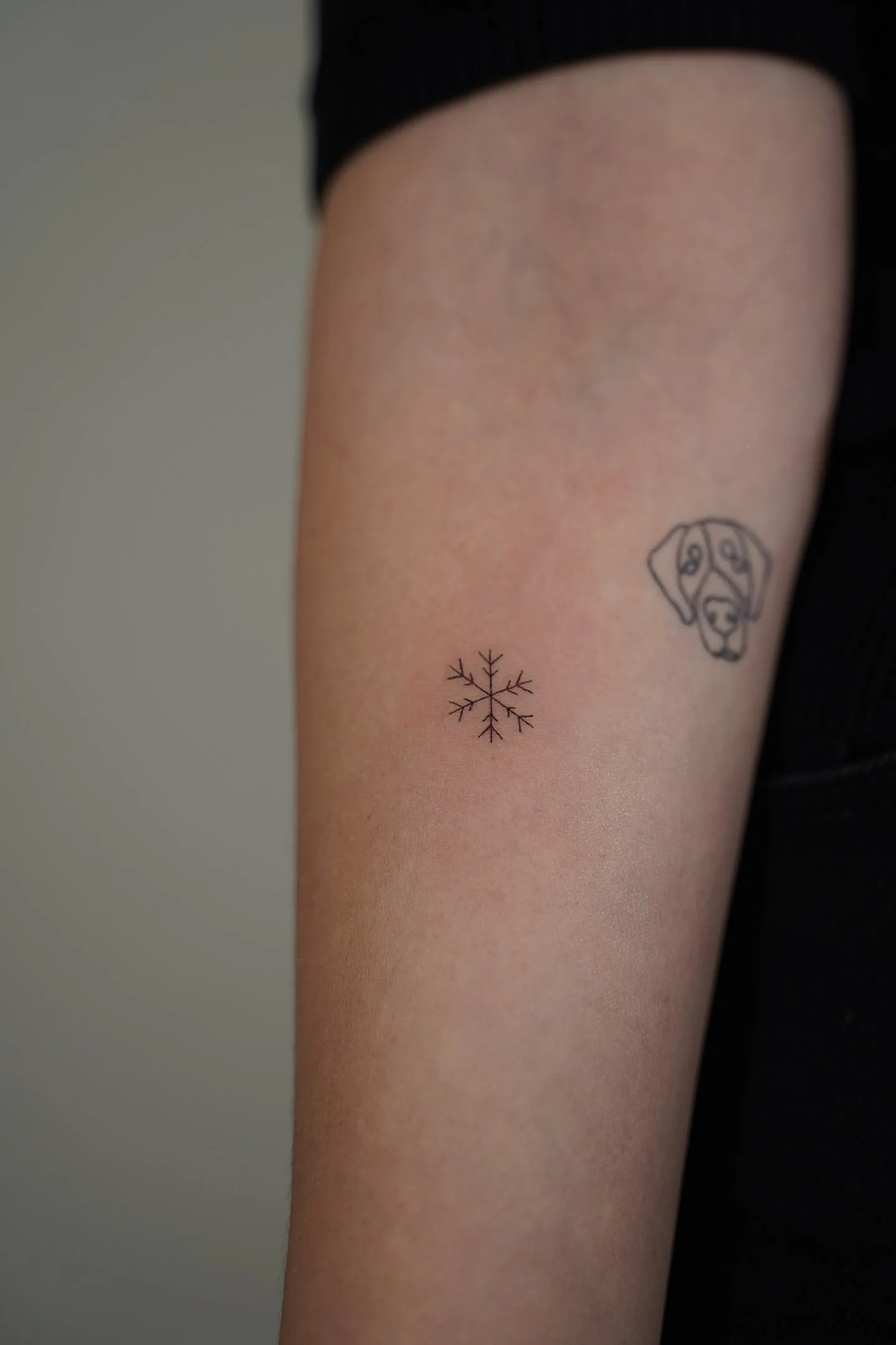 80) Copo de nieve minimalista