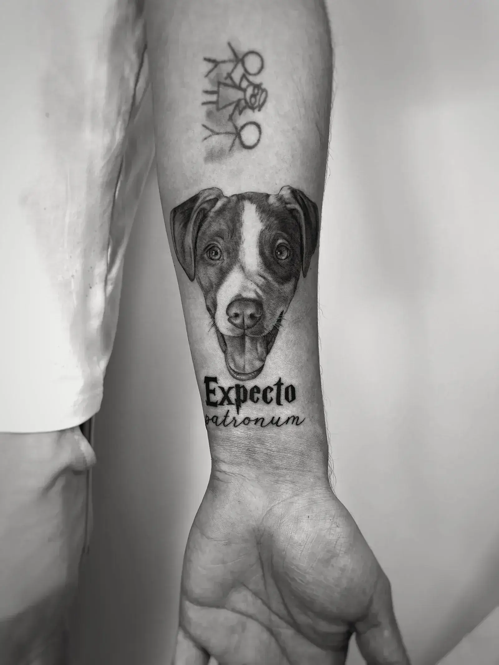 90) Perro realista con frase “Expecto Patronum”