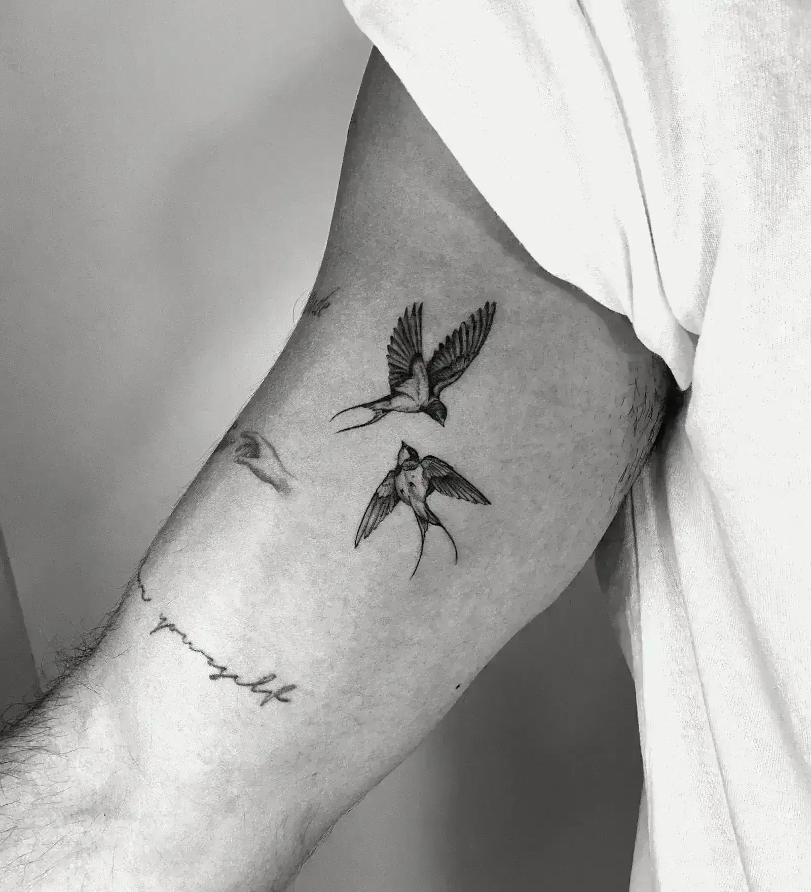 92) Dos colibrís enfrentados