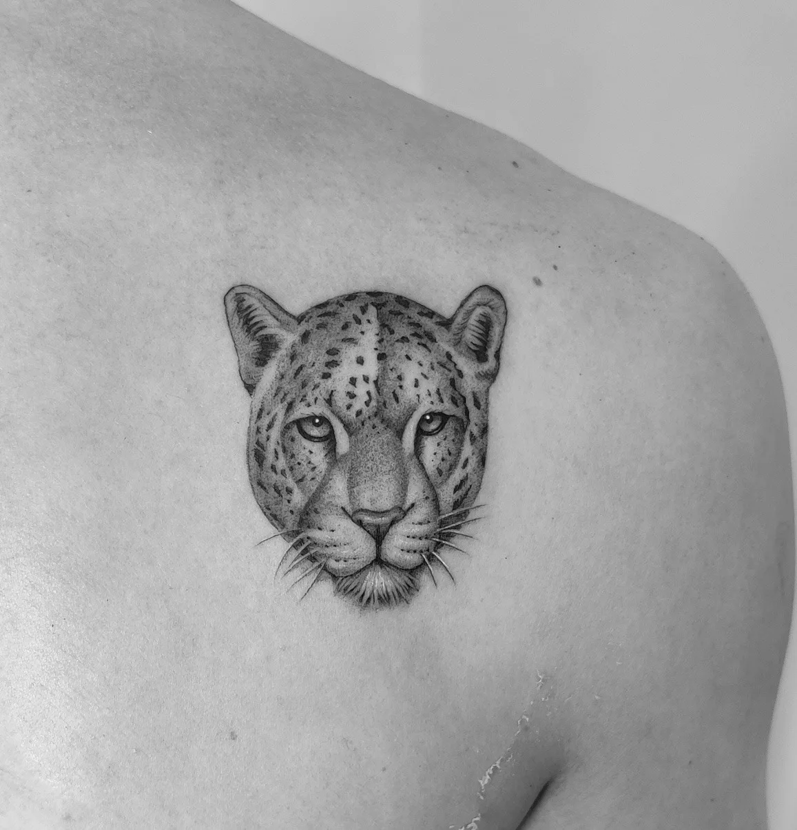 93) Jaguar realista con puntillismo