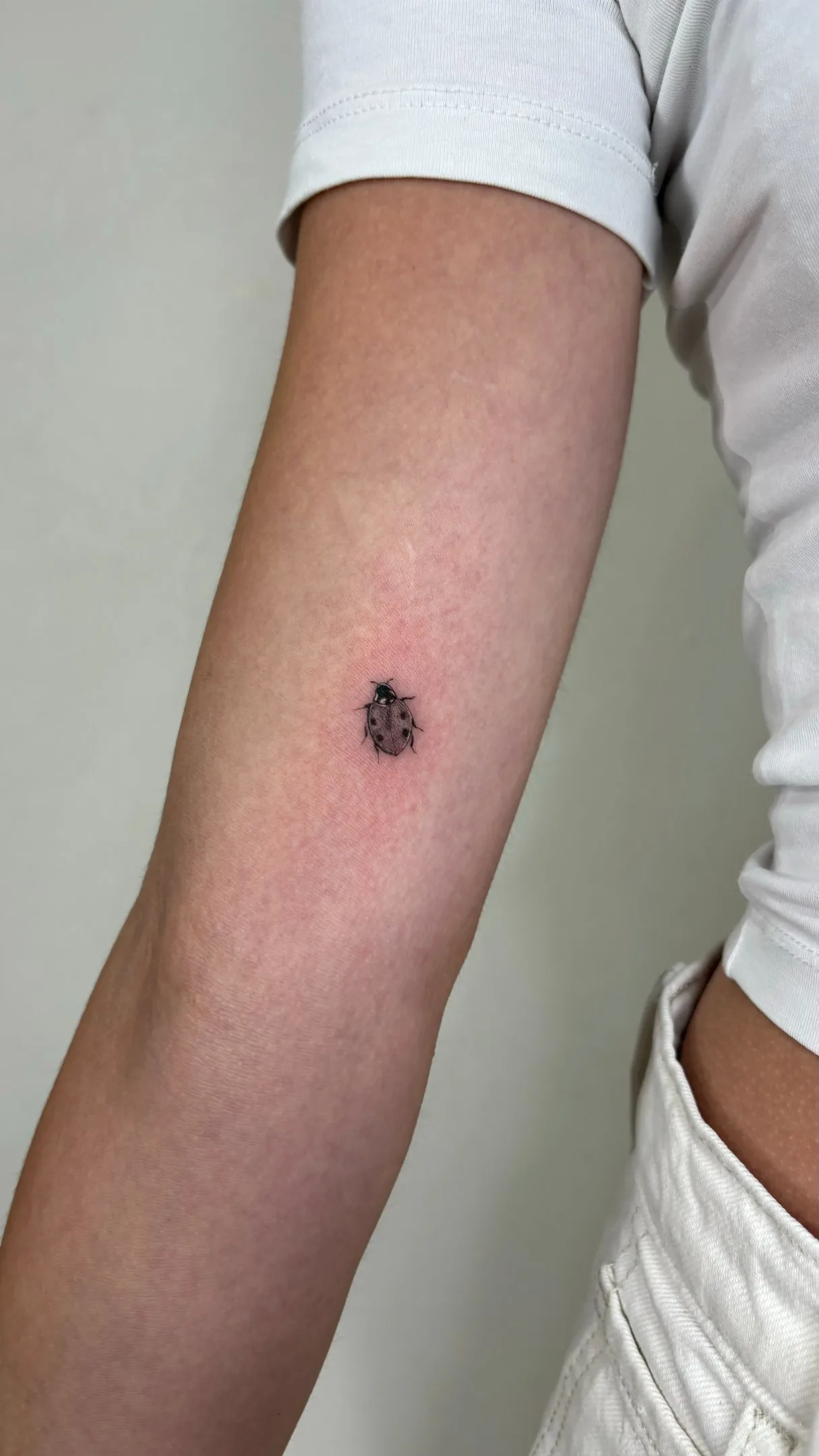 16) Mariquita hiperrealista en el antebrazo