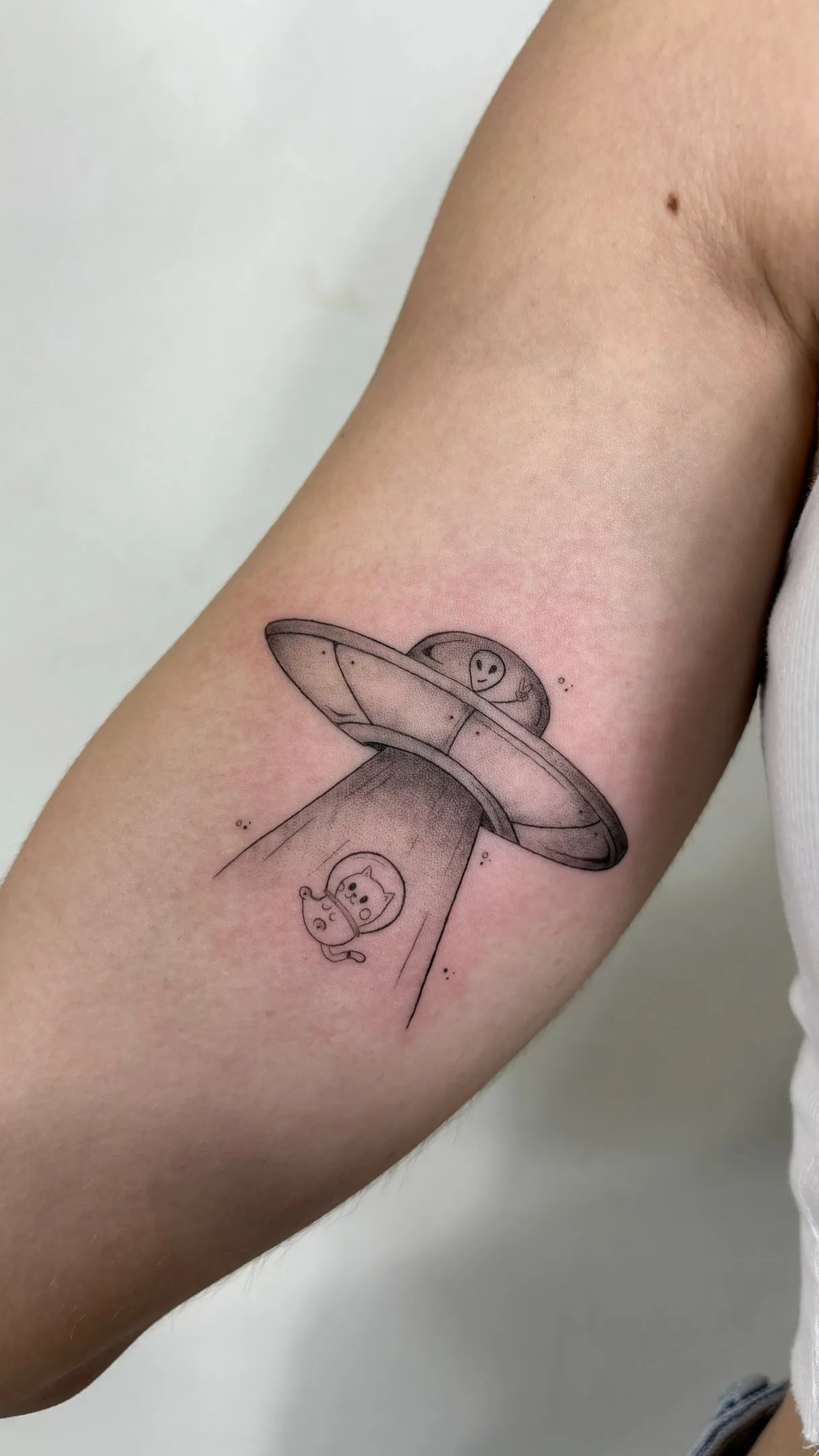 20) OVNI abduciendo a un gato astronauta en el brazo