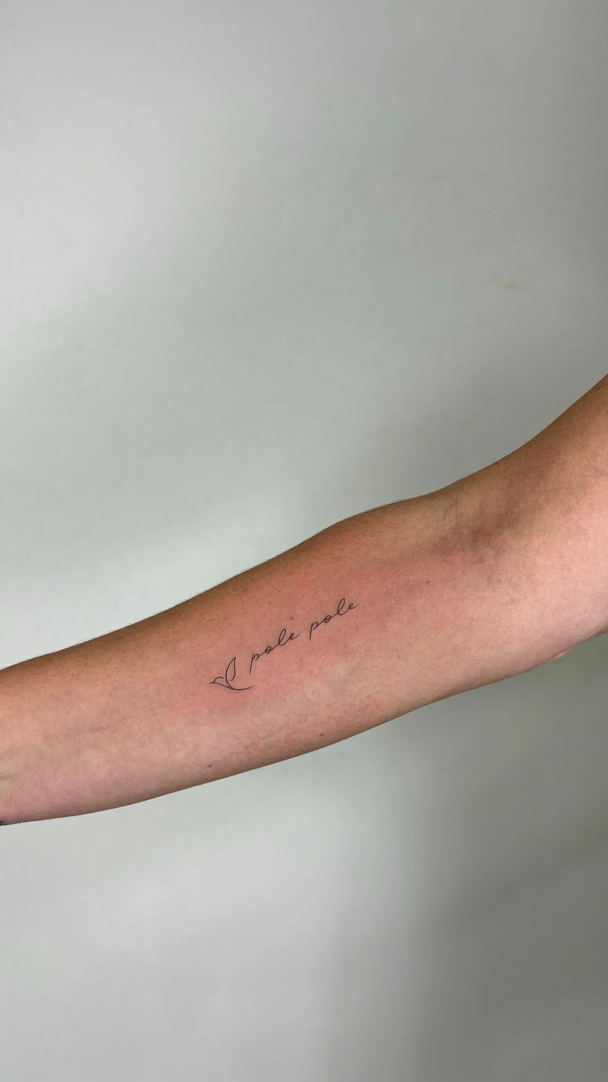 24) "Pole pole" con hoja en el antebrazo