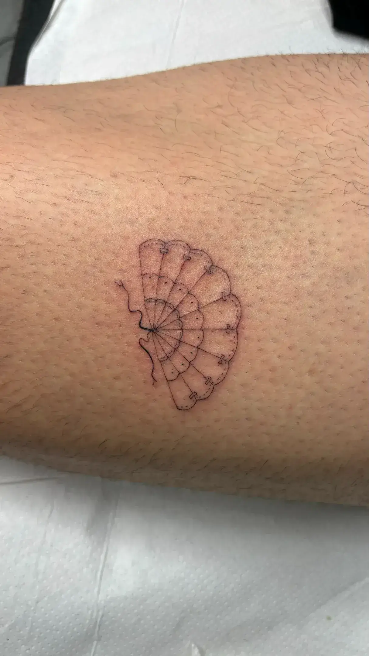 26) Abanico español en el antebrazo