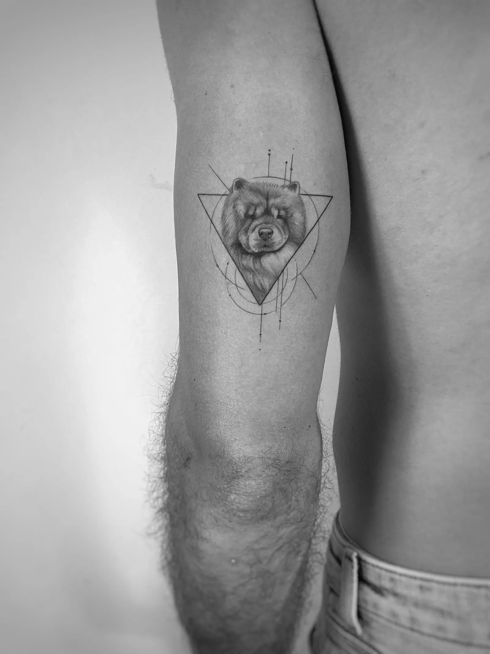46) Retrato de Chow Chow con marco geométrico en el brazo