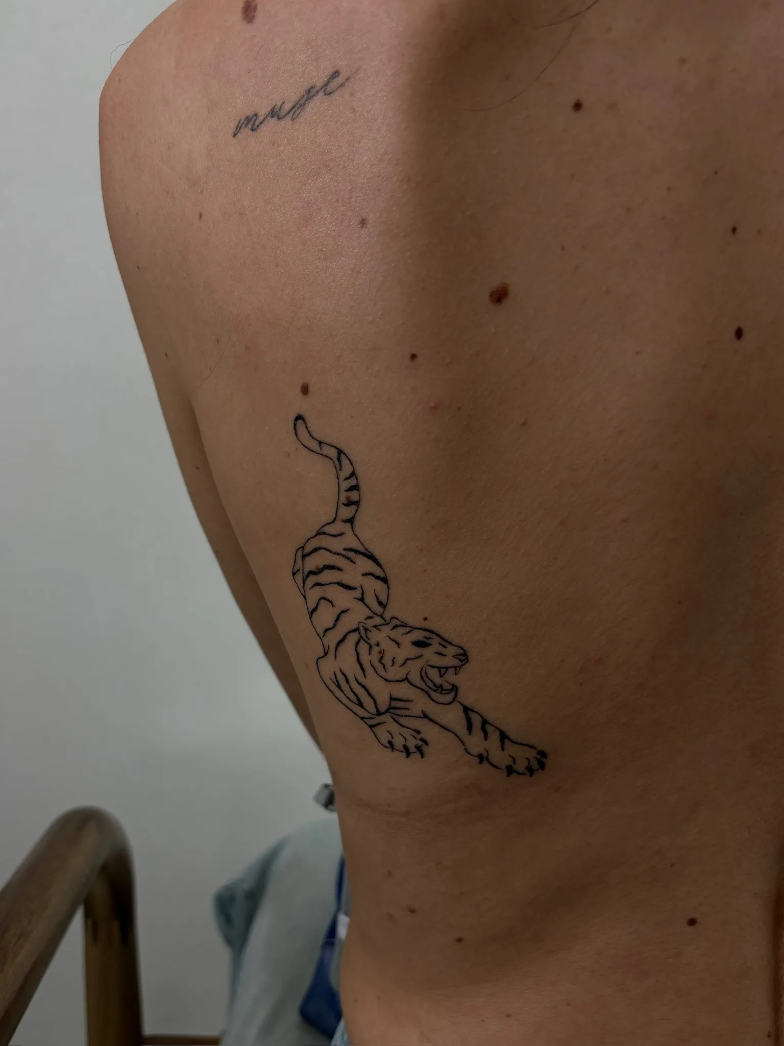 57) Tigre en movimiento en la espalda