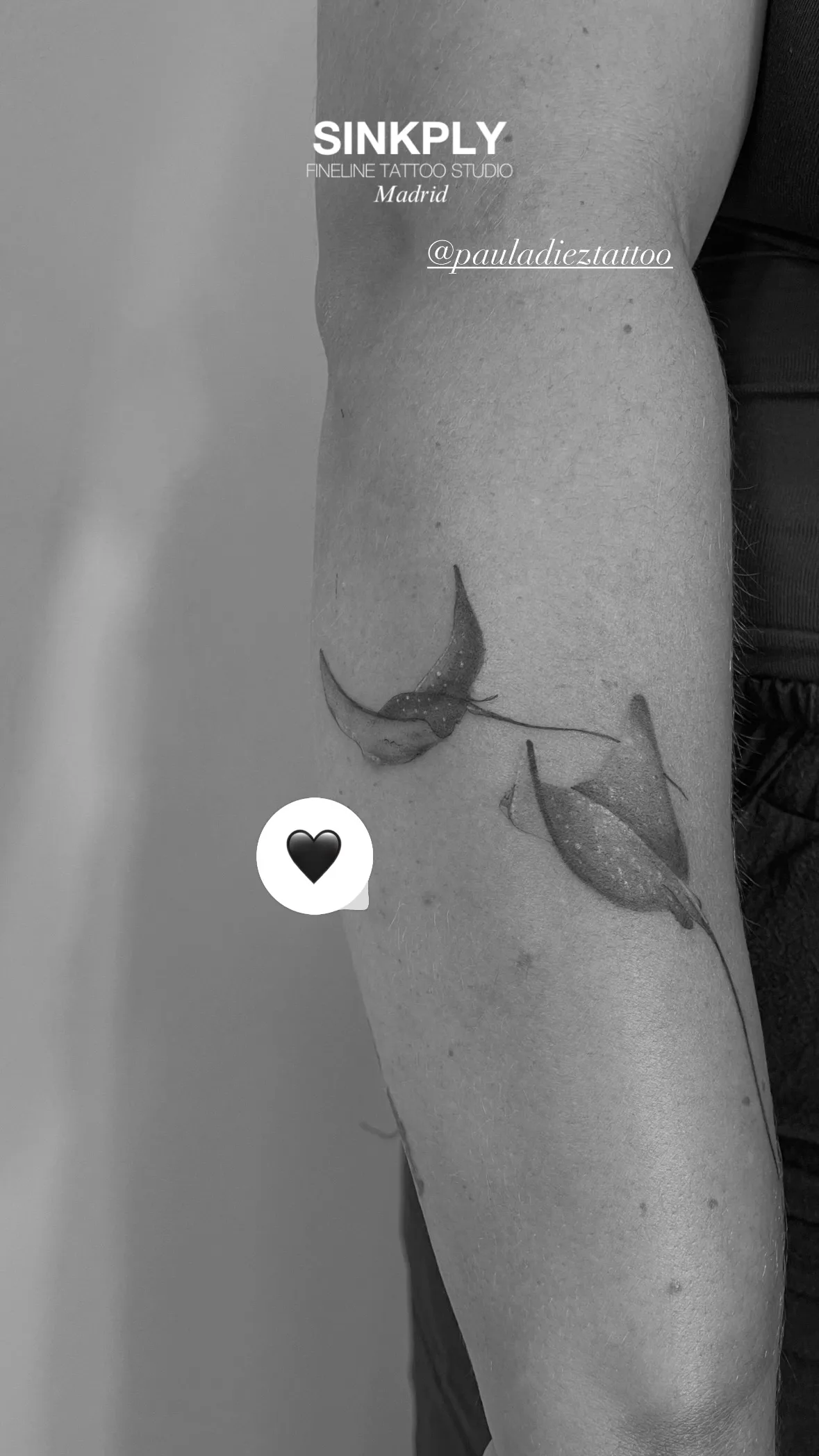 78) Mantarrayas en movimiento fluido