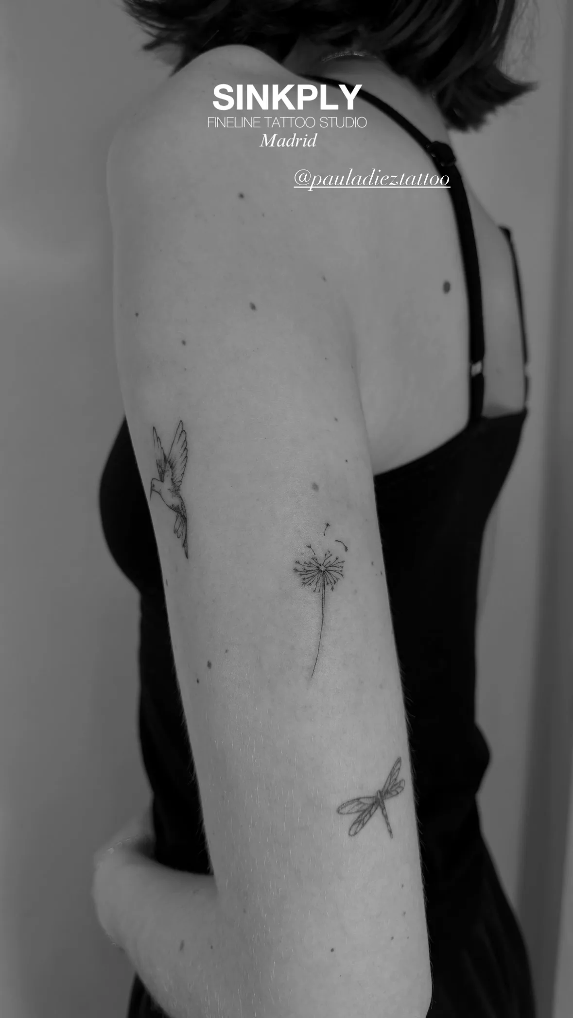 98) Trilogía de naturaleza: Colibrí, diente de león y libélula