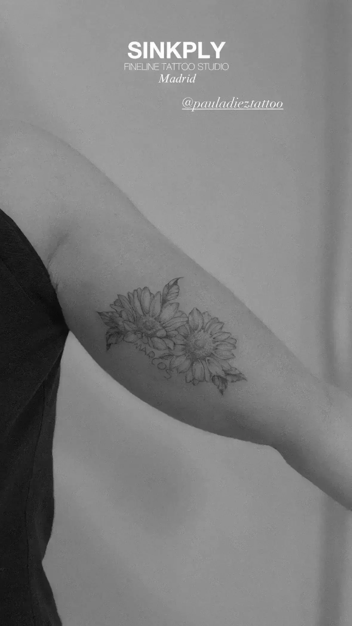 99) Botánica conmemorativa: Girasoles y caligrafía