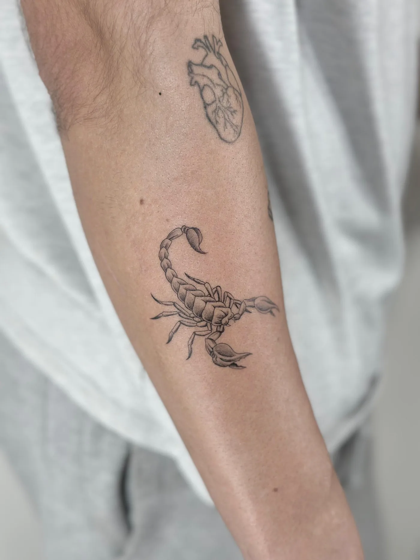 Microrealismo fine line · Sinkply Madrid