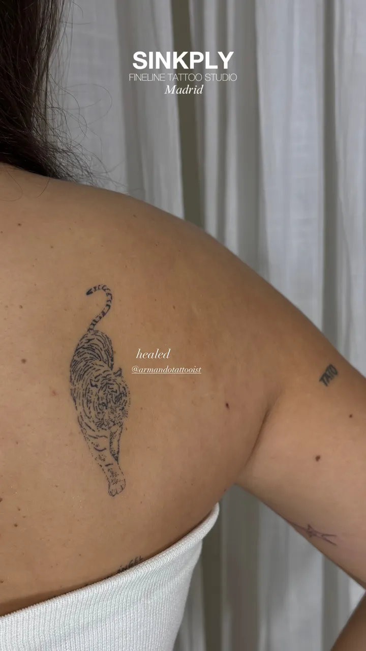 Tigre en línea fina cicatrizado — Sinkply Tattoo Madrid