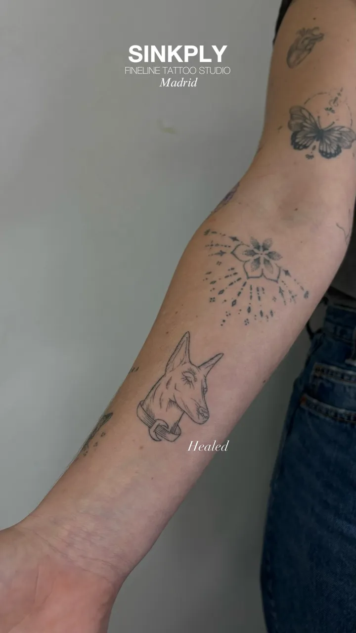 Retrato de perro y flor en línea fina, cicatrizado — Sinkply Tattoo Madrid