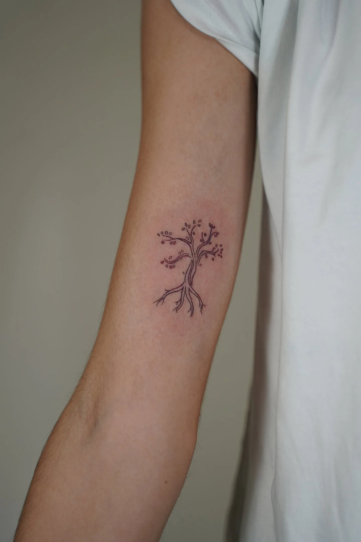 Tatuaje fineline en Madrid de árbol de la vida con raíces y ramas detalladas en trazo fino en el ant