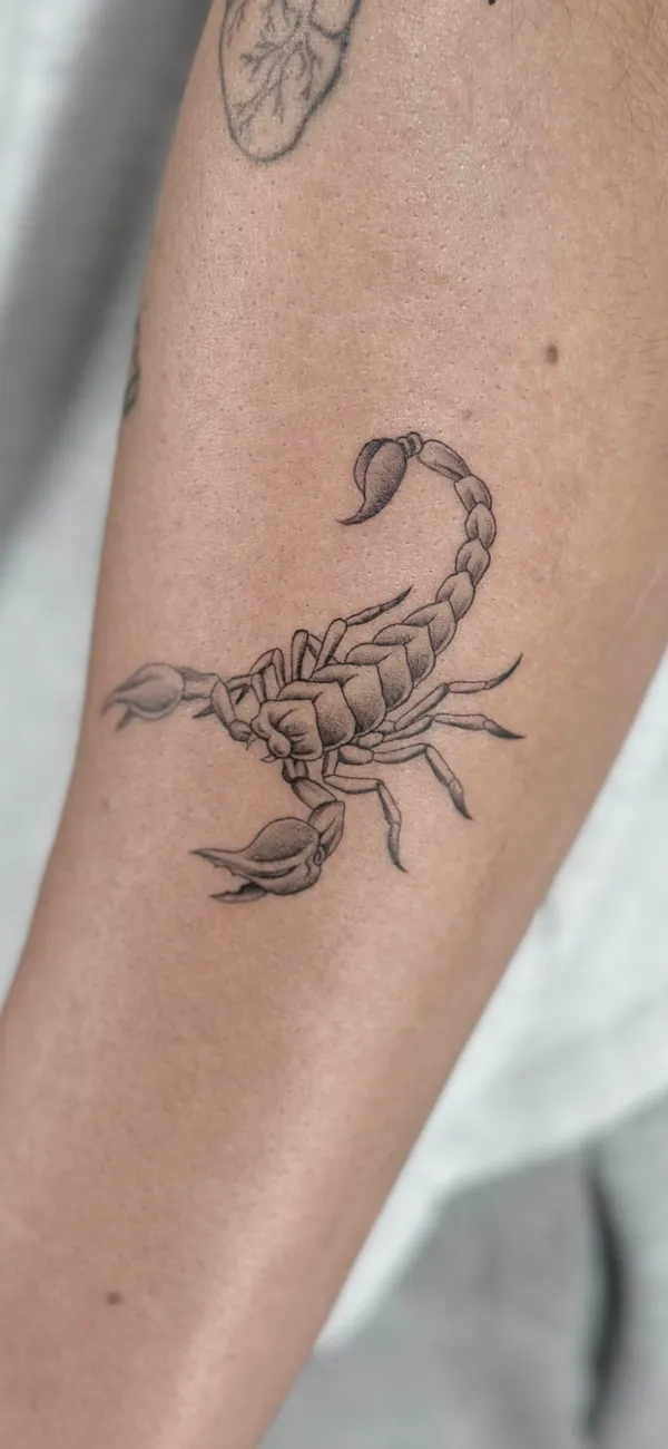 Tatuaje de escorpión en blanco y negro en el antebrazo, por Oriana en Sinkply Madrid