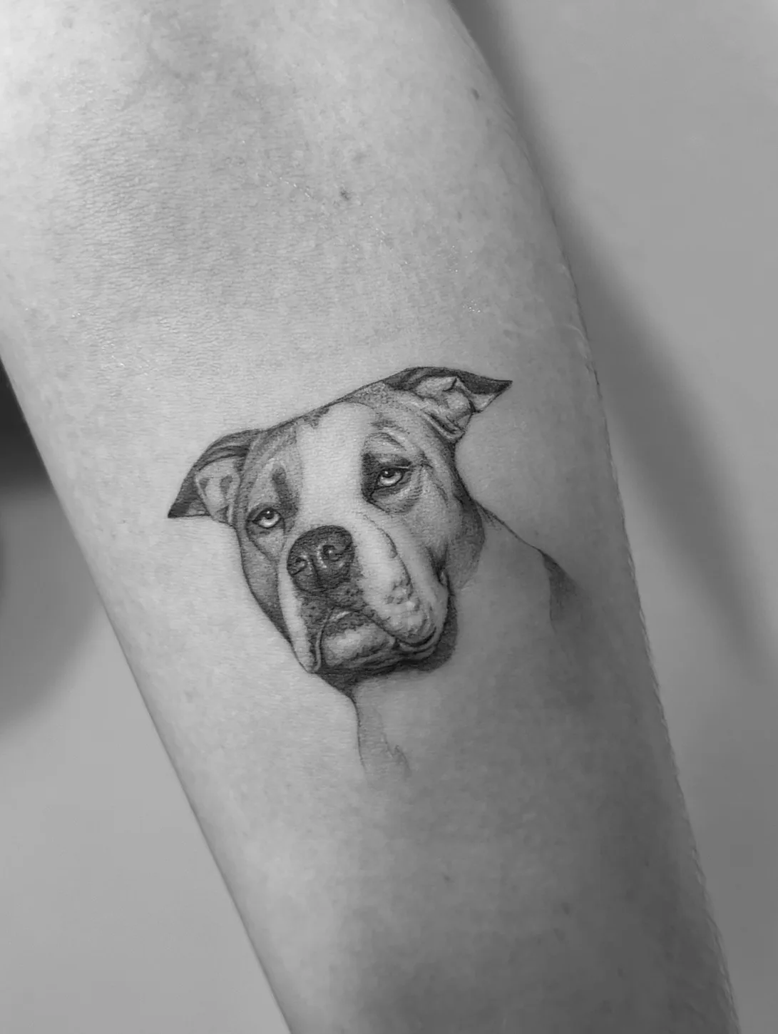 Fine line feather tattoo with suggested detail on inner bicep