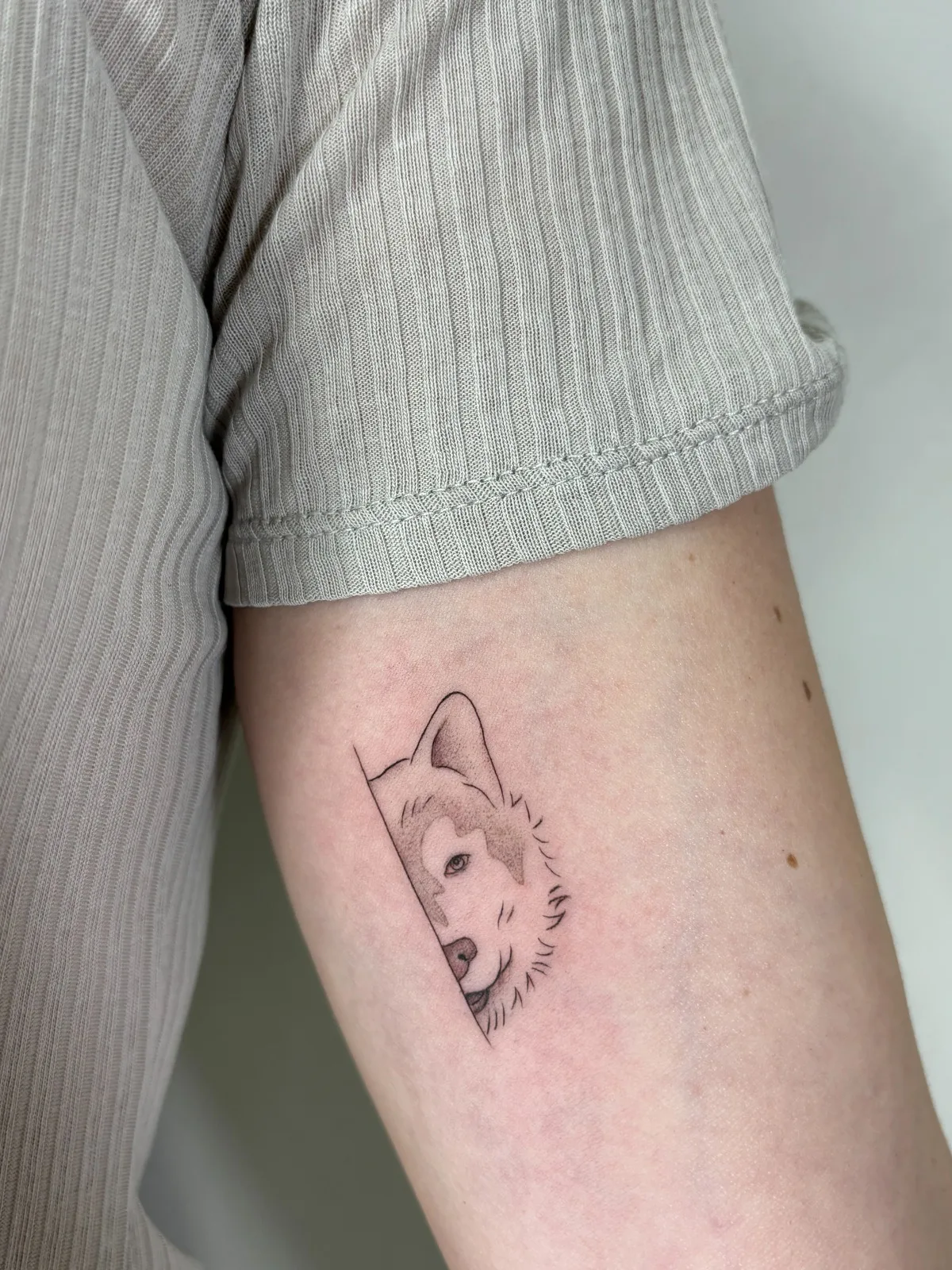 Minimal compass tattoo with thin fine line markings on forearm