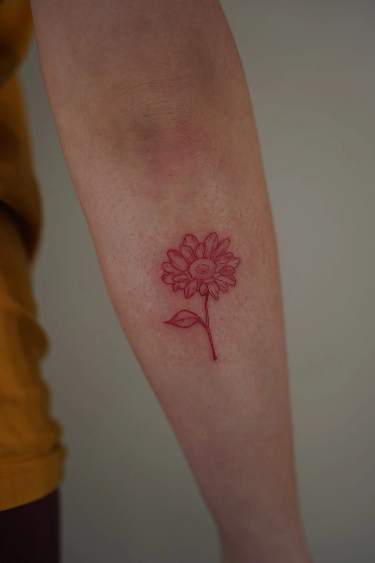 Tatuaje fineline en Madrid de girasol botánico en tinta roja con pétalos detallados