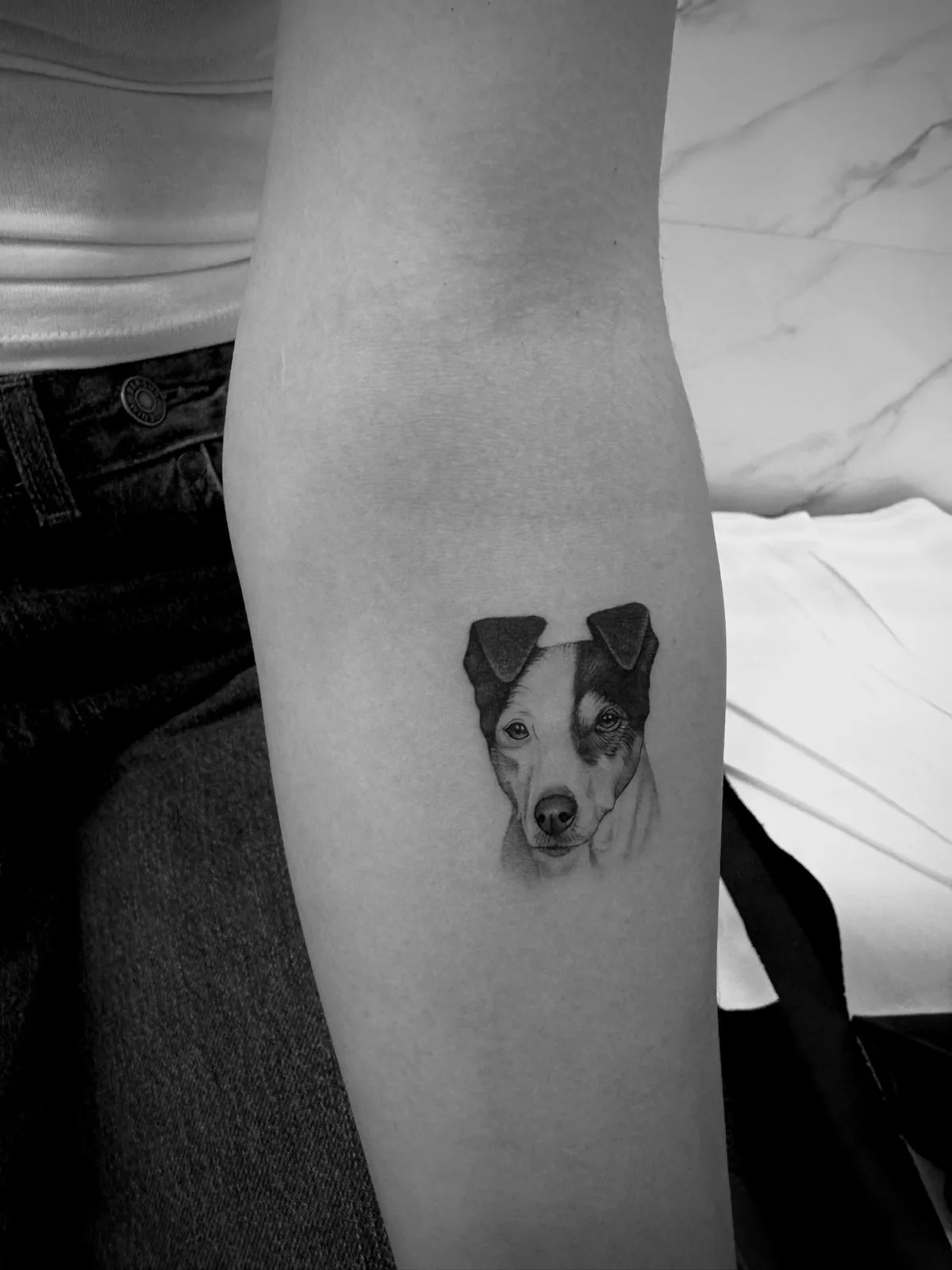 Tatuaje fineline en Madrid de retrato microrealista de perro Jack Russell en blanco y negro