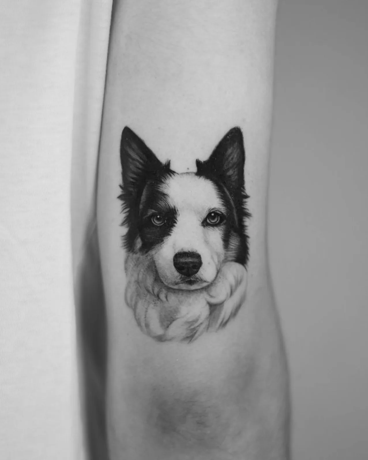 Small and medium dog tattoos in Madrid — delicate fine line pet portrait