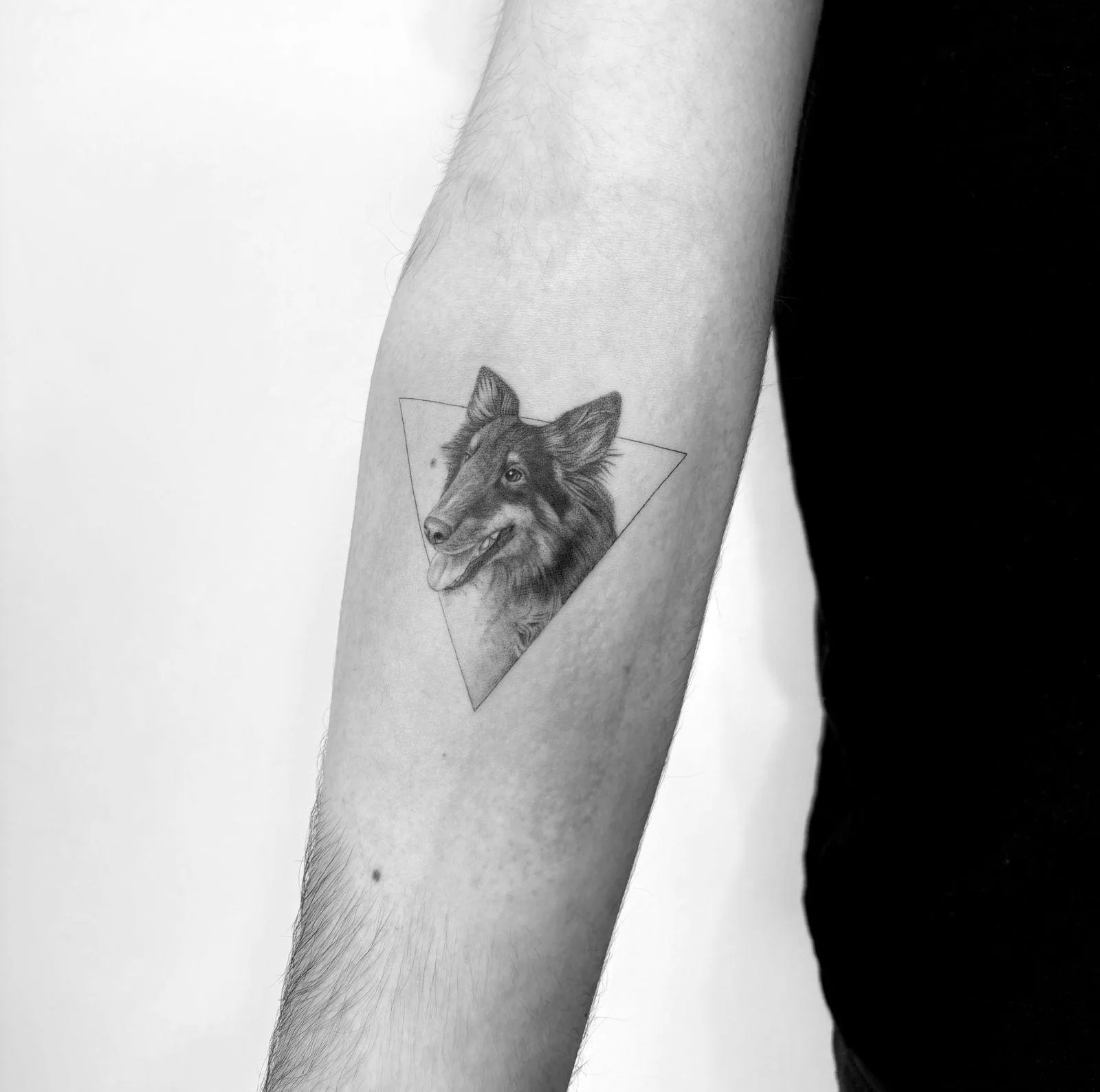 Memorial dog tattoo Madrid — fine line tribute to a beloved pet
