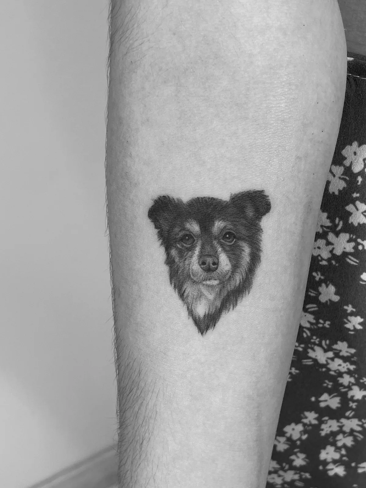 Fine line medium dog tattoo with graphite-style shading on the arm