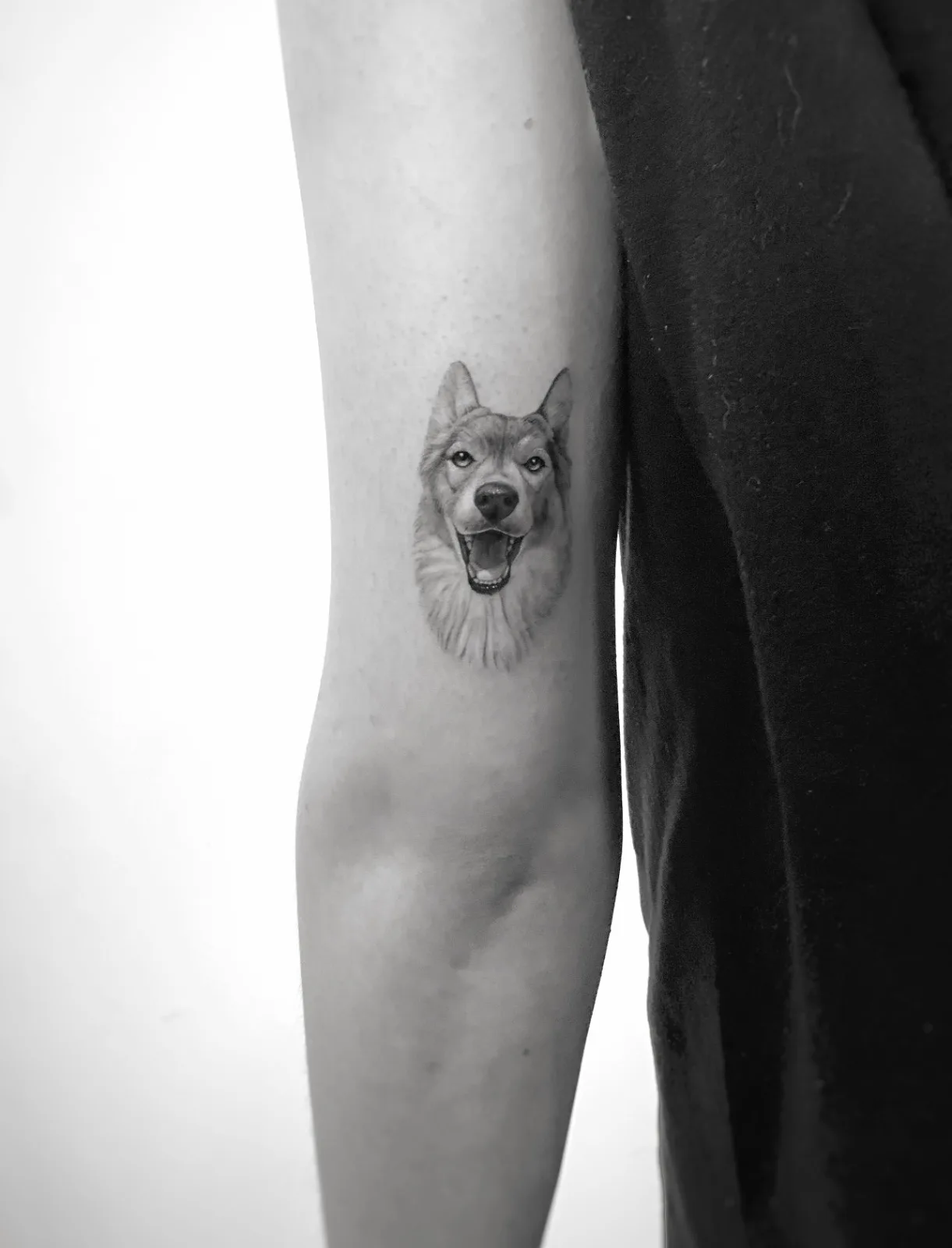 Pet portrait in continuous line with minimal detail on the bicep